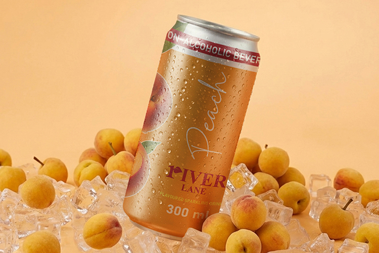 RLI_Slide-750x500px20